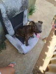 zeus