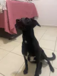 Preta