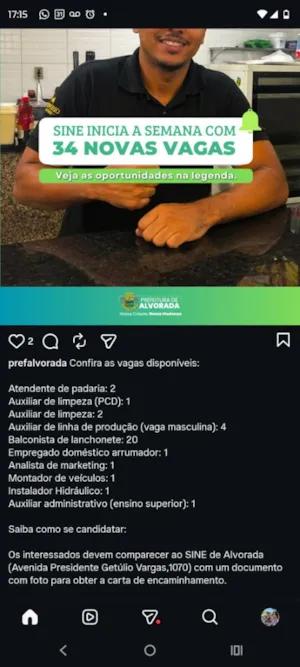 Gato raça SRD-ViraLata idade 7 a 11 meses nome mochi