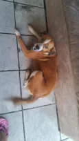 mel