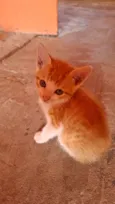 Funny 