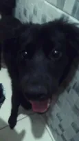 Maya