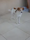 Maylo