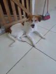 Maylo