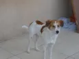 Maylo