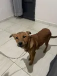 kira