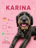 Karina