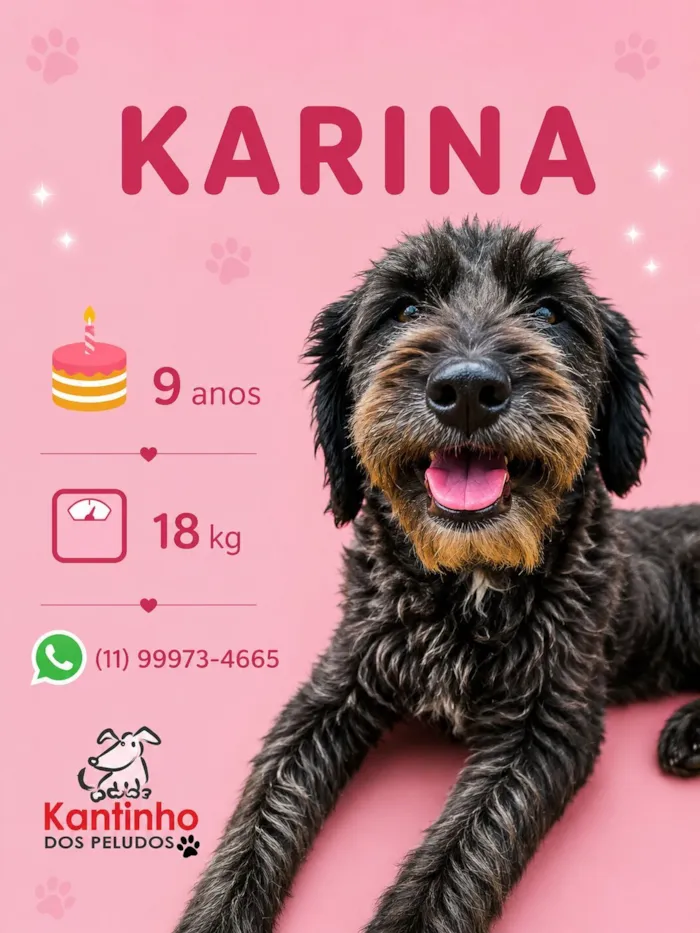 Cachorro raça SRD-ViraLata idade 6 ou mais anos nome Karina