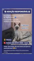 Cadu