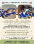 Tchuca e Nina