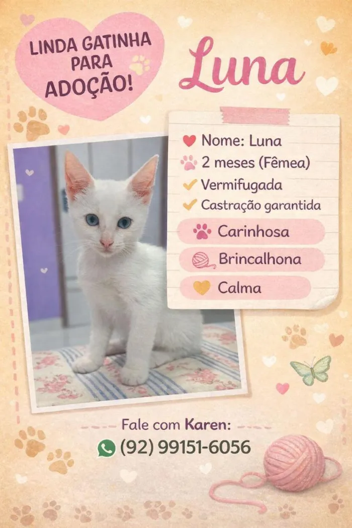 Gato raça SRD-ViraLata idade 2 a 6 meses nome Luna