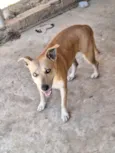 julie
