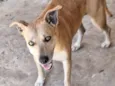 julie
