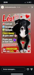 Léo