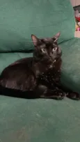Nico