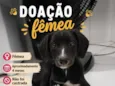 A definir