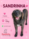 Sandrinha 