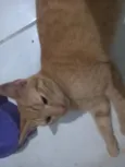 não tem nome