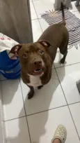 Dante