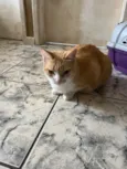 Mel