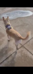 Paçoca