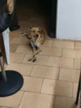 Nick