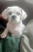 Billy