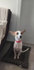Nina 