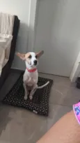 Nina 
