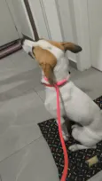 Nina 
