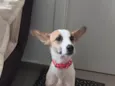 Nina 