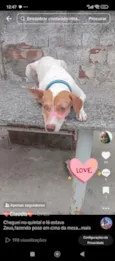 zeus