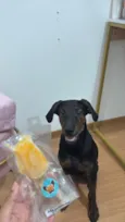 Lucky 