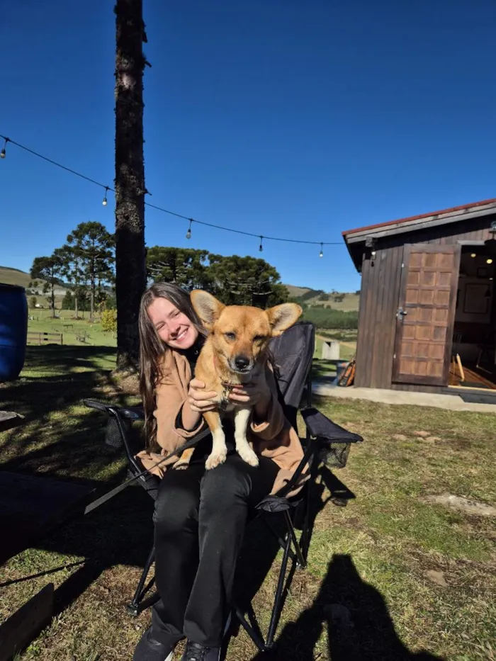 Cachorro raça SRD-ViraLata idade 1 ano nome Minie