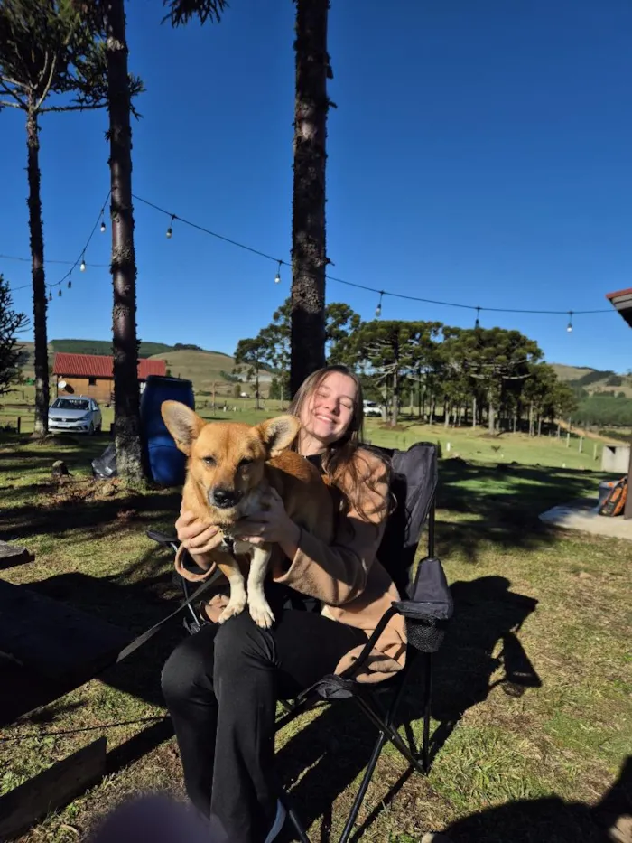 Cachorro raça SRD-ViraLata idade 1 ano nome Minie