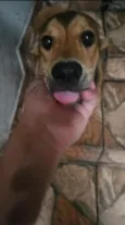 Bruce