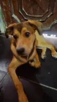 Bruce
