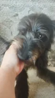 Athena