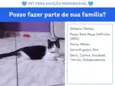 mãezinha 