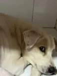 Blanquita