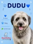 Dudu