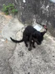 Não sei