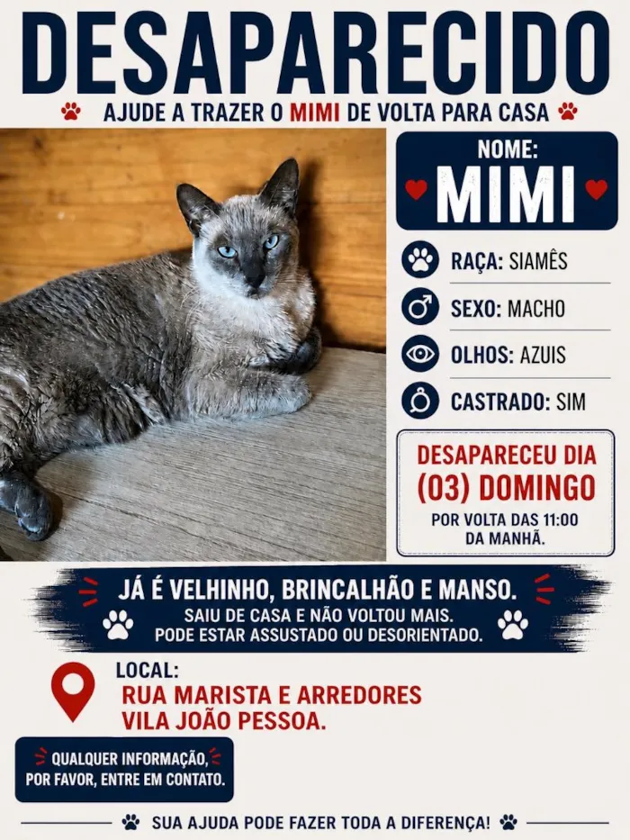 Gato raça Siamês idade 6 ou mais anos nome Mimi