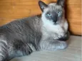 Mimi