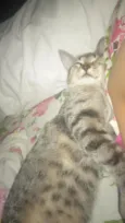 Kira