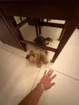Nao sei