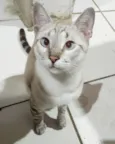 Ricky