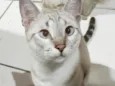Ricky