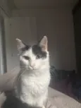 Francisco 