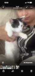 Francisco 